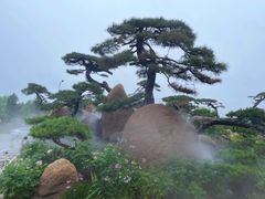 -罗红摄影艺术馆