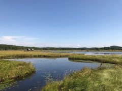 -塞罕坝国家级自然保护区