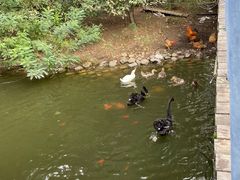 -长白岛森林公园