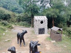 -大姆山草场