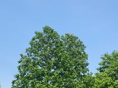 -南翔镇银翔湖公园