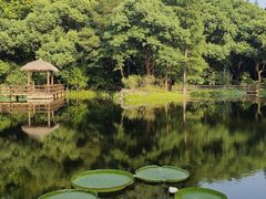 -上海滨江森林公园