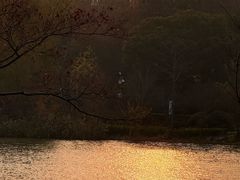 -昆山城市生态森林公园