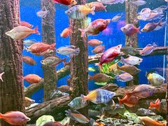 -威海华夏城景区