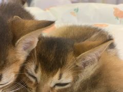 -宁波国际会展中心