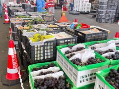 -西郊国际农产品交易中心