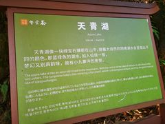 -紫云谷景区