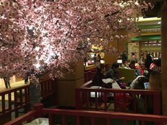 -大江户·温泉洗浴(浑南店)