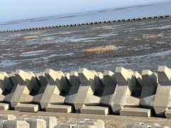 -南汇嘴观海公园