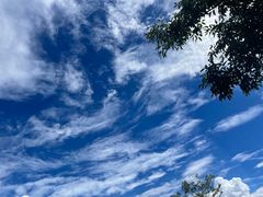 -回辉登偰氏面片(东莲花美食街店)