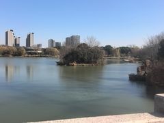 -九里河湿地公园