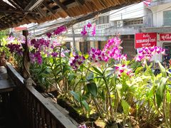 -自然餐厅(Phuket)