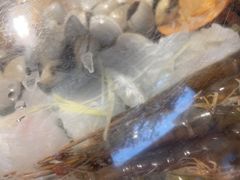 -碗中海·蒸汽海鲜·桑拿鸡(岭南天地店)