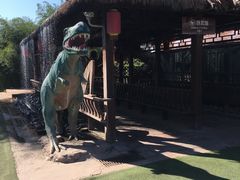 -呀路古热带植物园