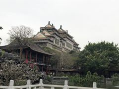 -顺峰山公园