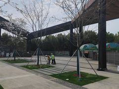 -武汉园博园(武汉自然博物馆)