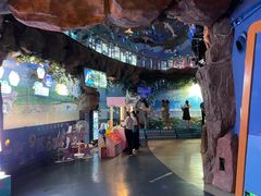 -烟台海昌鲸鲨海洋公园