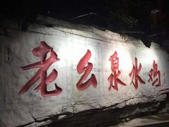 门面-老幺泉水鸡