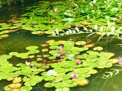 -白马涧龙池景区