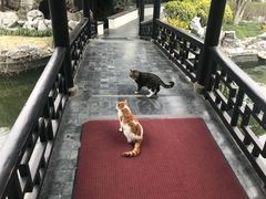 -扬州瘦西湖汇金酒店