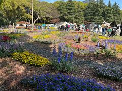 -黄兴公园
