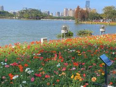 -顺峰山公园