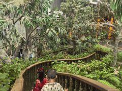 -正佳雨林生态植物园
