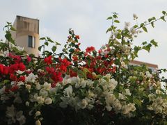 -小南山公园