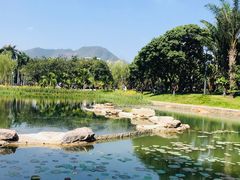 -四海公园(南山区)
