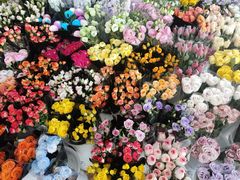 -三圣花乡旅游区