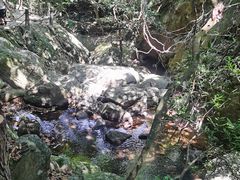 -梧桐山风景名胜区