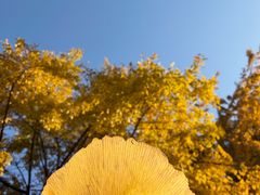 -苏州河梦清园环保主题公园