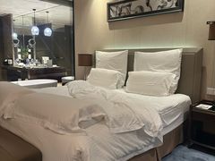 -广州白云机场雅高铂尔曼大酒店
