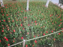 -长春公园(普阳街道)