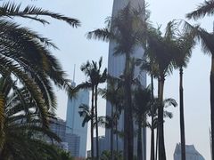 -荔枝公园(福田区)
