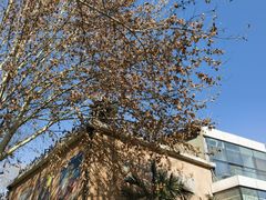 -西安电影制片厂