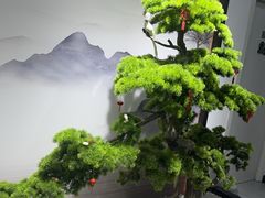 -武氏真功夫(第15店·正阳中路店)