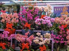 -三旗百汇商品城