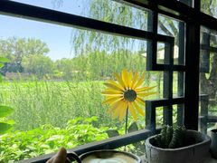 -三忘湖 SWANSEEN(柳荫公园店)