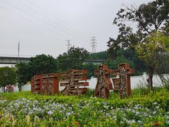 -黄埔油麻山森林公园