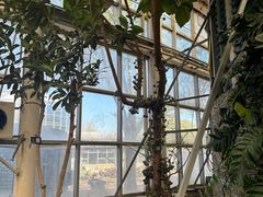 -石家庄市植物园