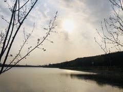 -羊山湖公园