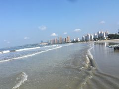 -广东惠东海龟国家级自然保护区