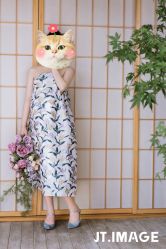 -专注孕妇照亲子照·纪田摄影