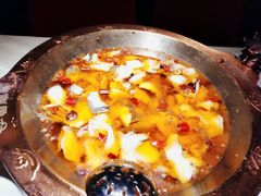 招牌水煮三峡鱼-雲蜀龙阁·金牌水煮鱼(方庄店)