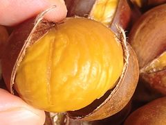 -品忆香炒货工坊(高新六路店)