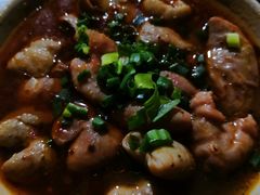 -周肥肠(江油总店)