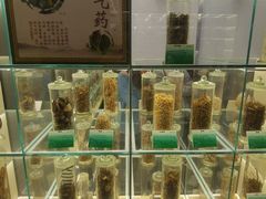 -广东中医药博物馆