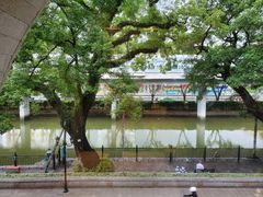 -广东胜利宾馆西关粤中餐厅