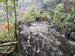 -梭布垭石林景区